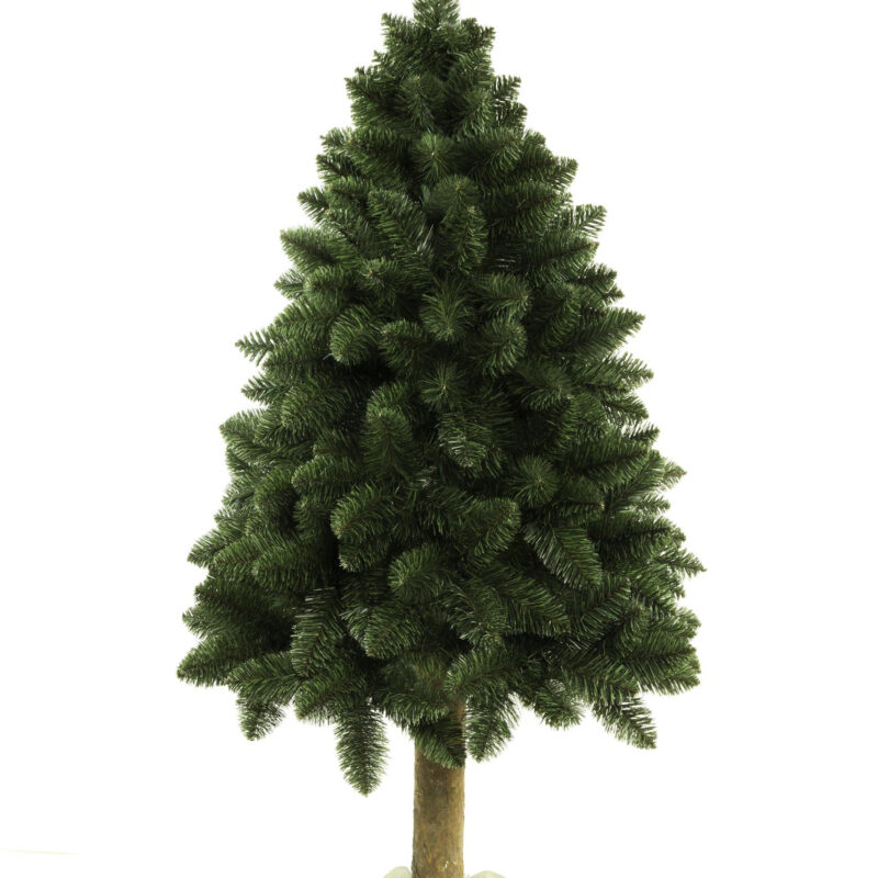 Sosna Naturalna PIEŃ 2