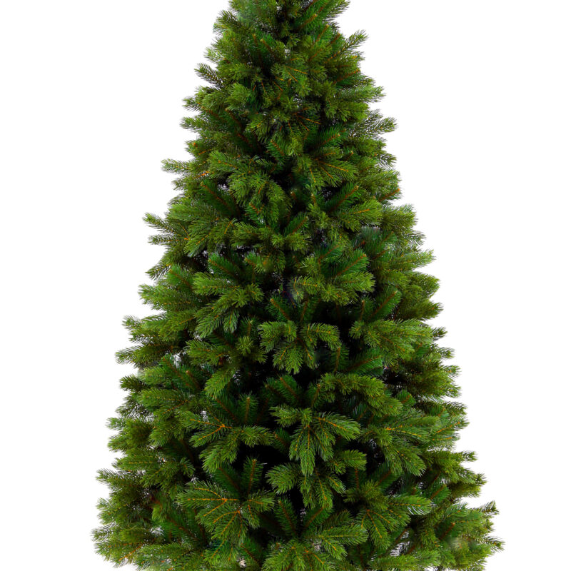 Sosna naturalna PE 2