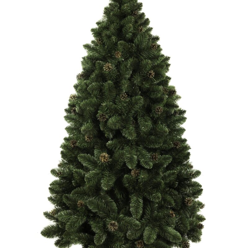 Sosna naturalna STOJAK 2