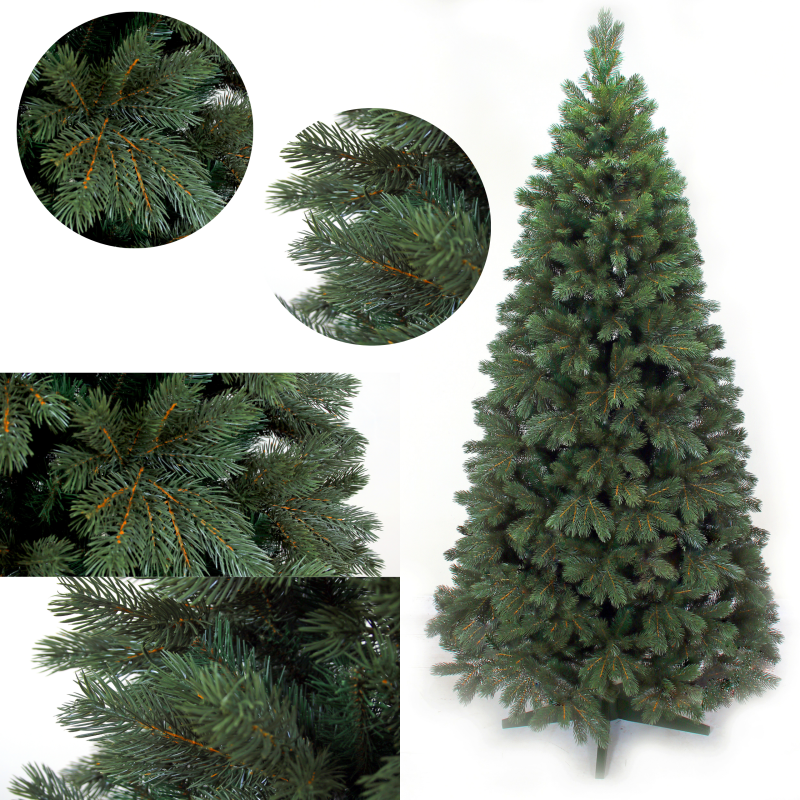 Sosna Leśnej Głębi PE